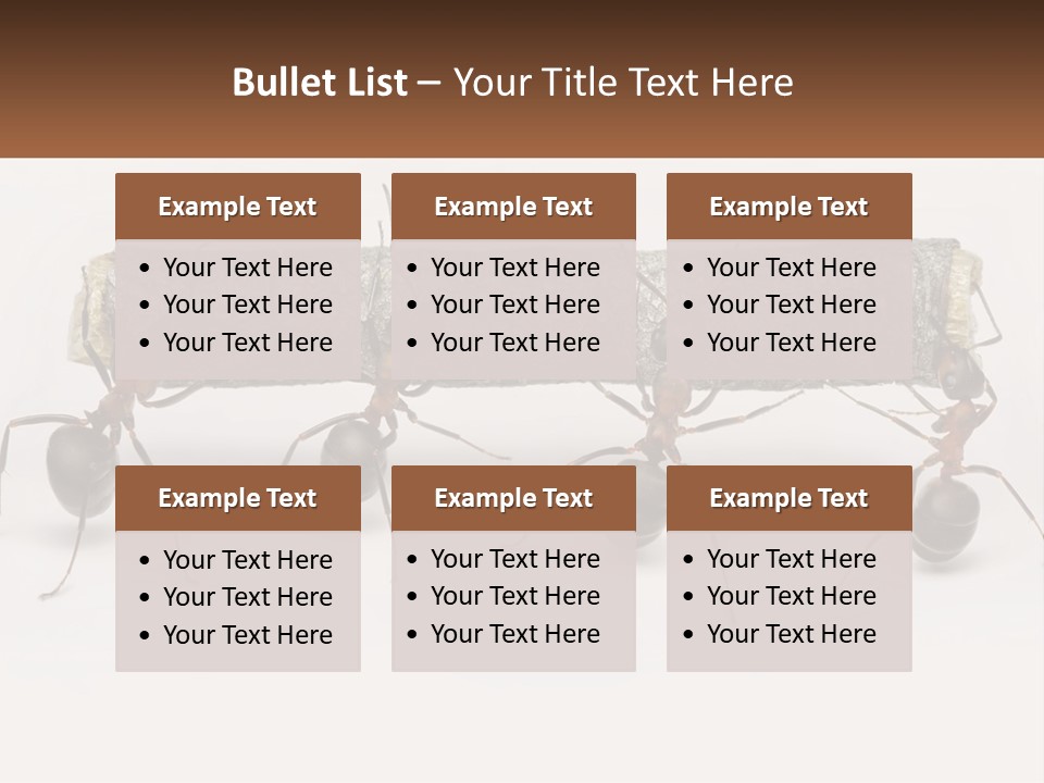 Animals Work Weight PowerPoint Template