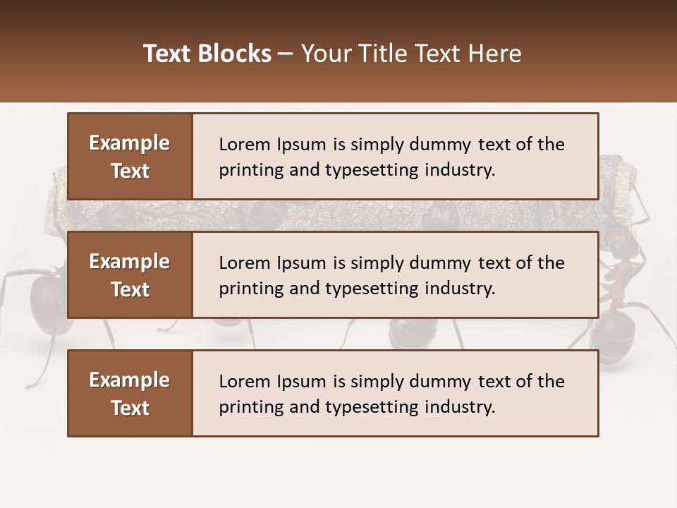 Animals Work Weight PowerPoint Template