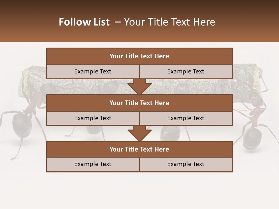 Animals Work Weight PowerPoint Template