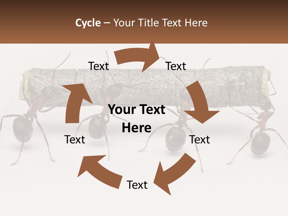 Animals Work Weight PowerPoint Template