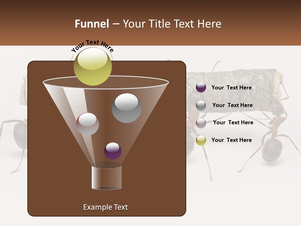 Animals Work Weight PowerPoint Template