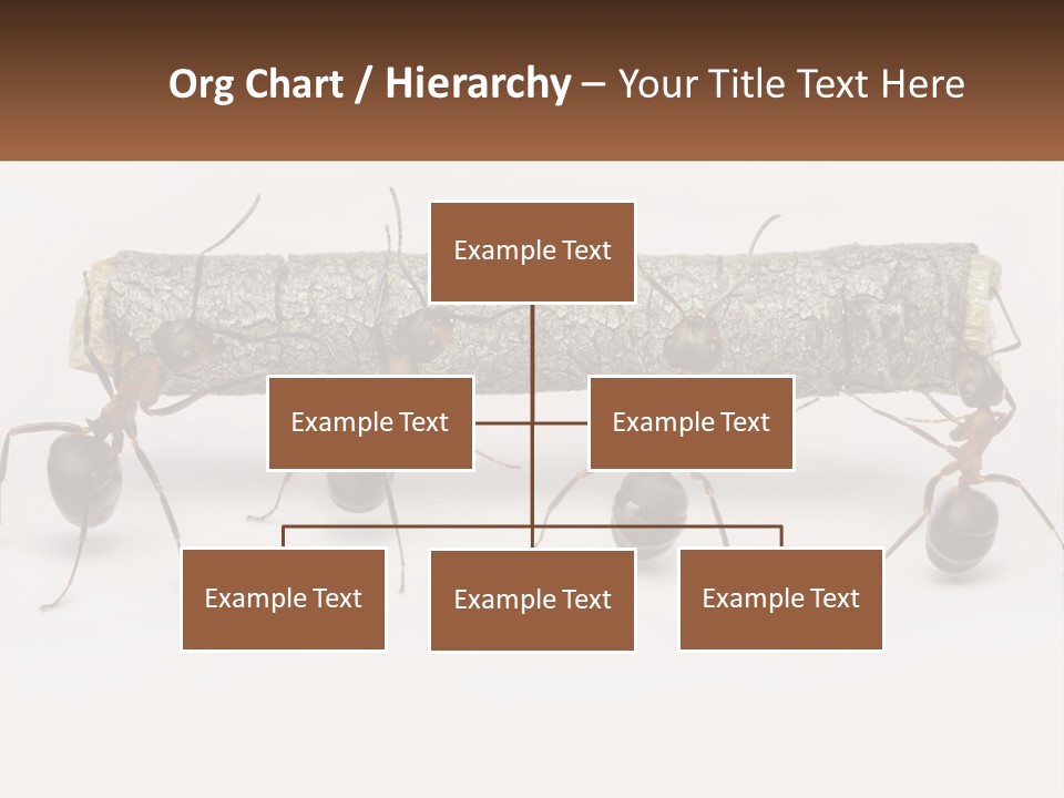 Animals Work Weight PowerPoint Template
