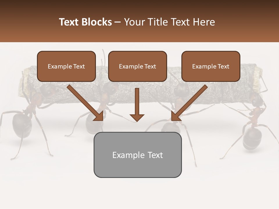 Animals Work Weight PowerPoint Template