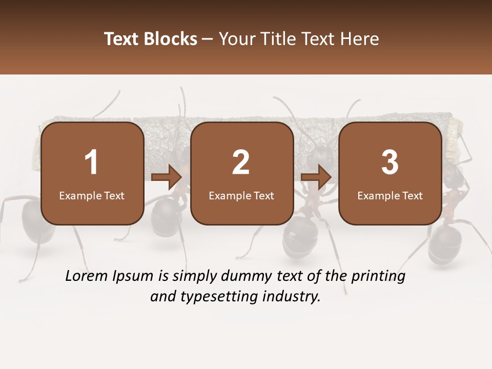 Animals Work Weight PowerPoint Template