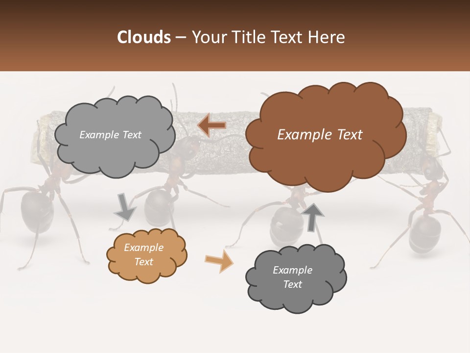 Animals Work Weight PowerPoint Template