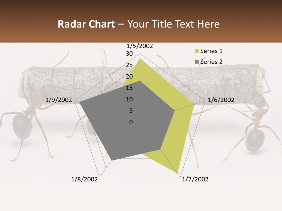 Animals Work Weight PowerPoint Template