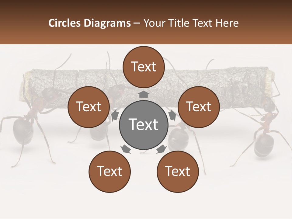 Animals Work Weight PowerPoint Template