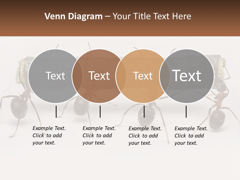 Animals Work Weight PowerPoint Template