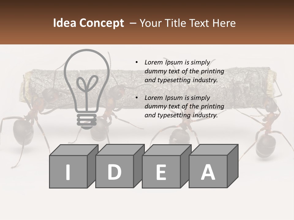 Animals Work Weight PowerPoint Template