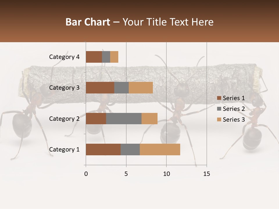 Animals Work Weight PowerPoint Template