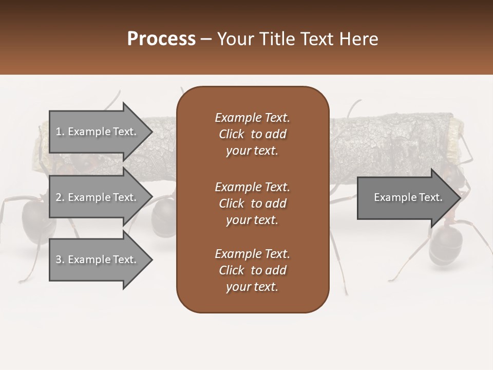 Animals Work Weight PowerPoint Template