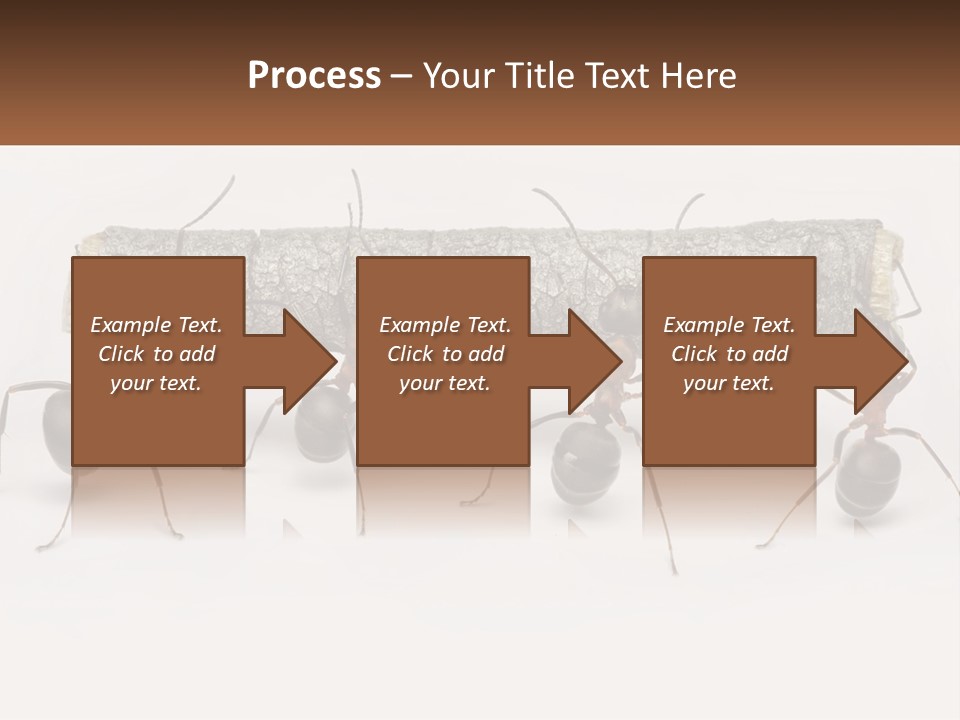 Animals Work Weight PowerPoint Template