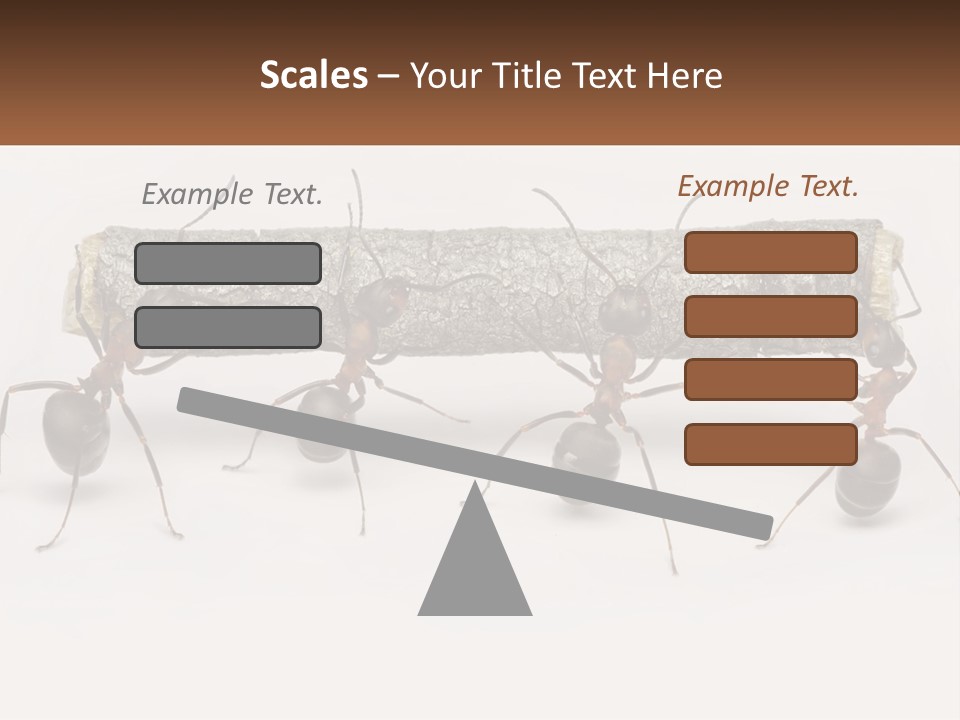 Animals Work Weight PowerPoint Template