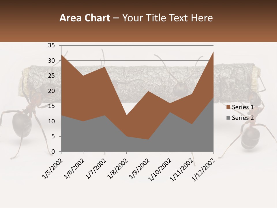 Animals Work Weight PowerPoint Template