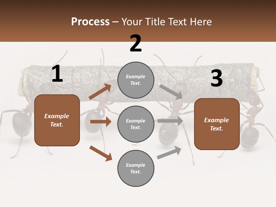 Animals Work Weight PowerPoint Template