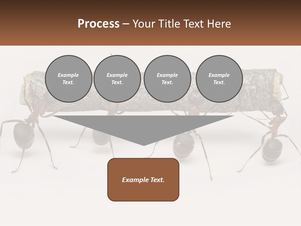 Animals Work Weight PowerPoint Template