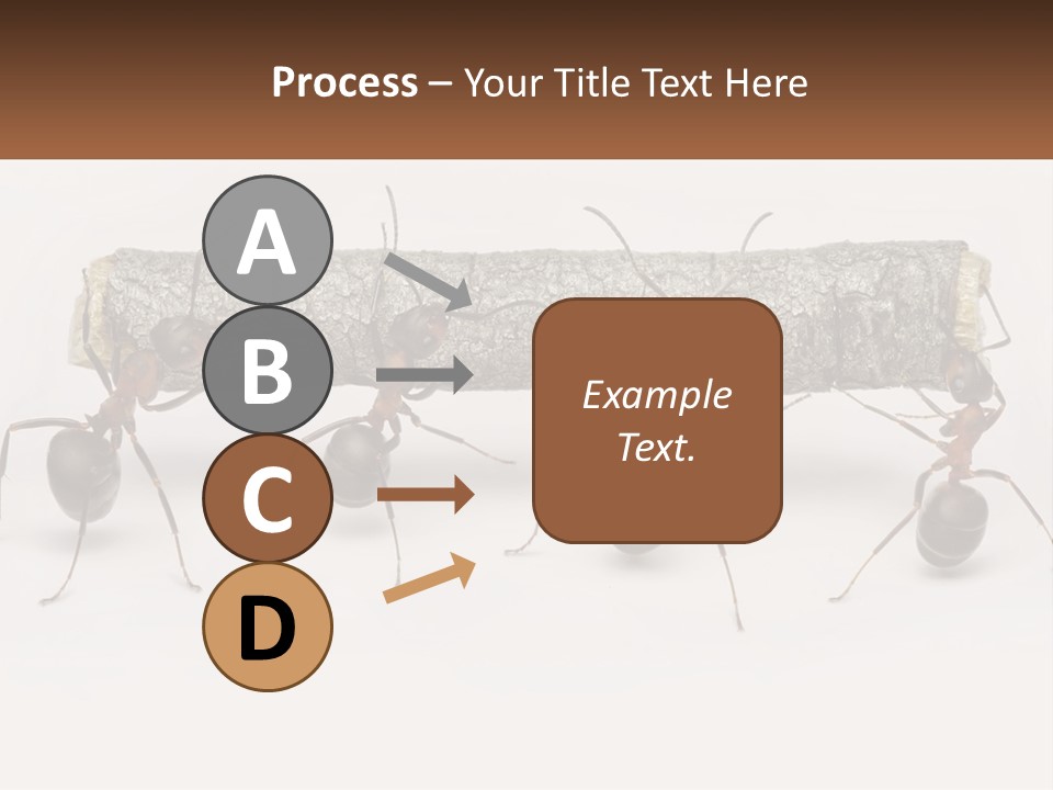 Animals Work Weight PowerPoint Template