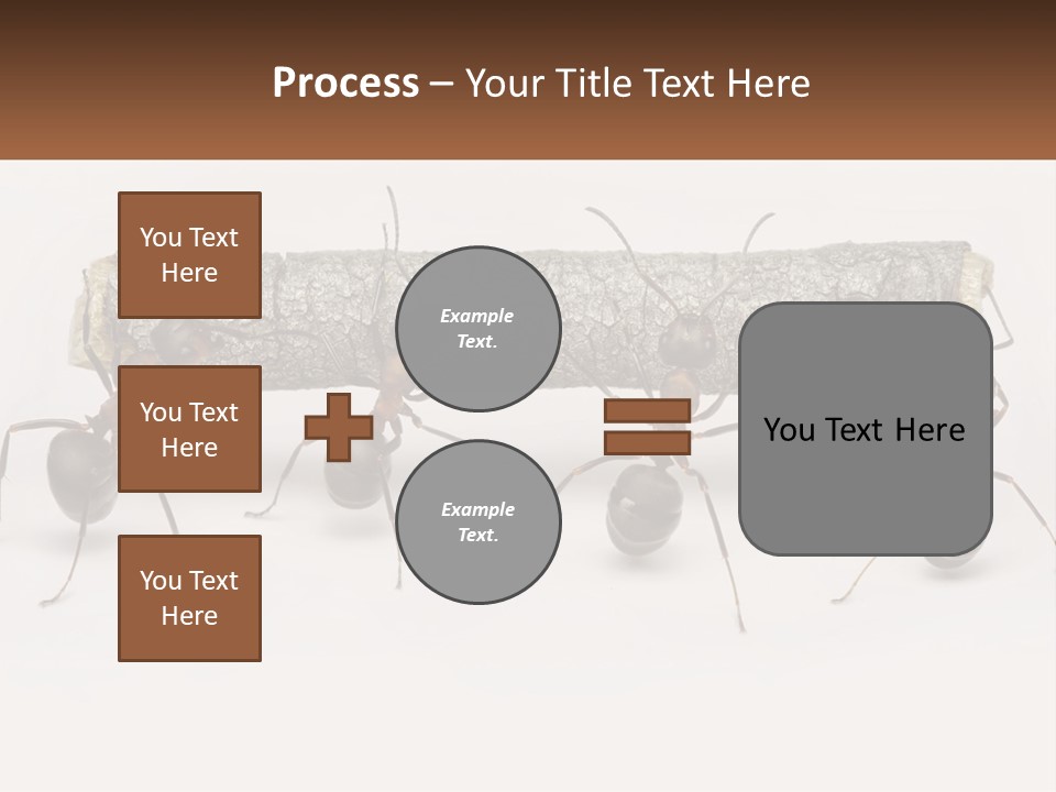 Animals Work Weight PowerPoint Template