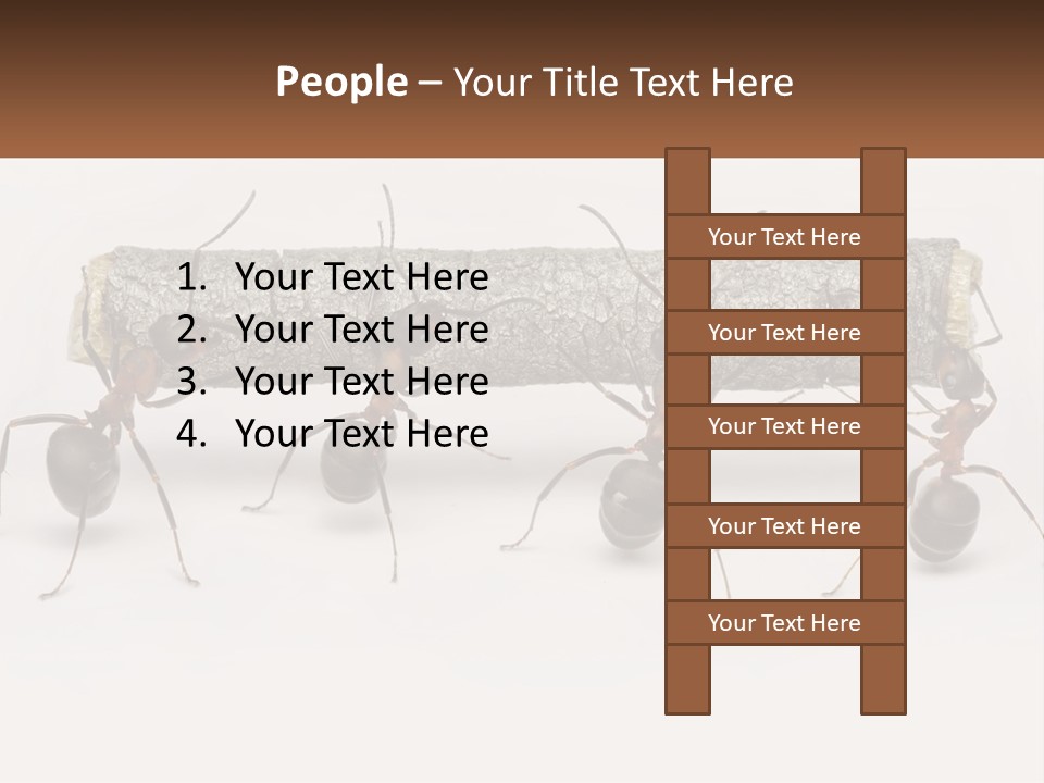 Animals Work Weight PowerPoint Template