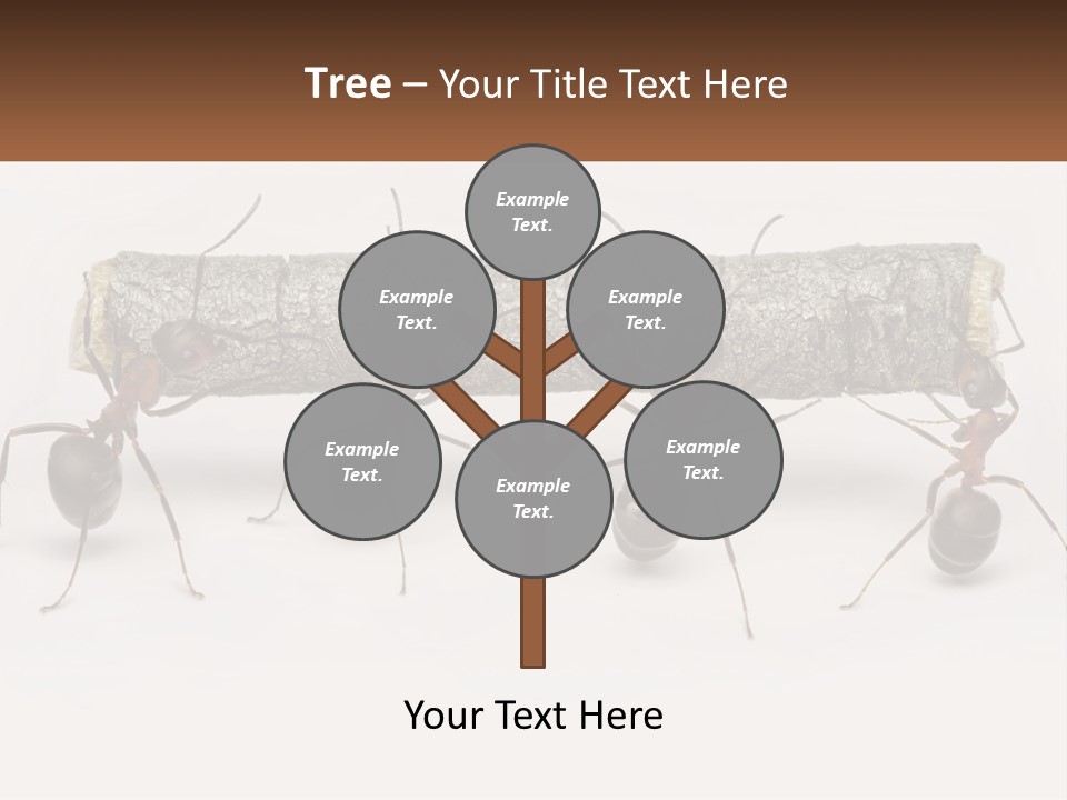 Animals Work Weight PowerPoint Template