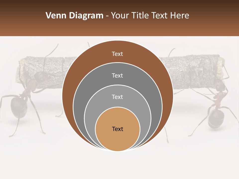 Animals Work Weight PowerPoint Template