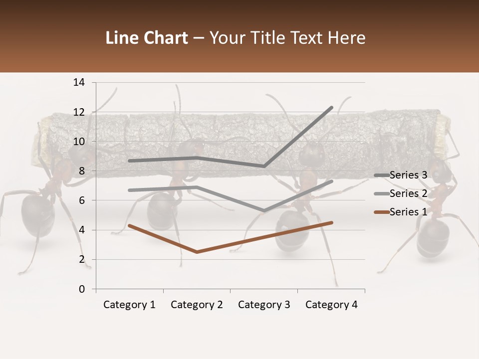 Animals Work Weight PowerPoint Template