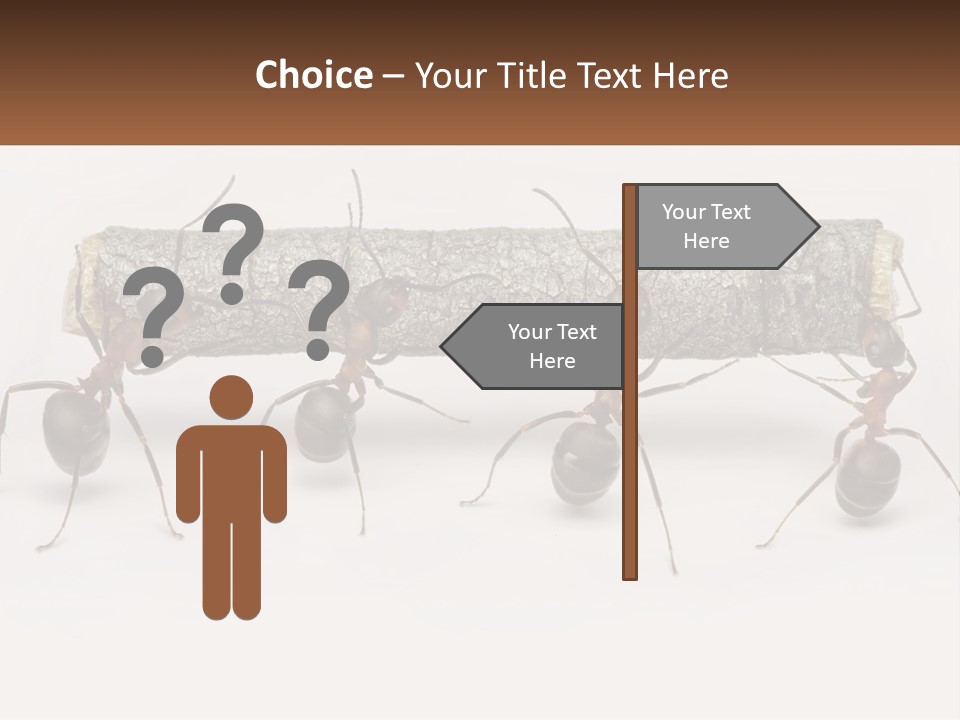 Animals Work Weight PowerPoint Template