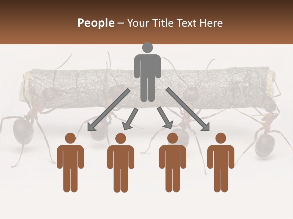 Animals Work Weight PowerPoint Template