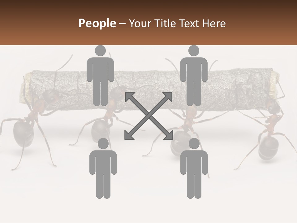 Animals Work Weight PowerPoint Template