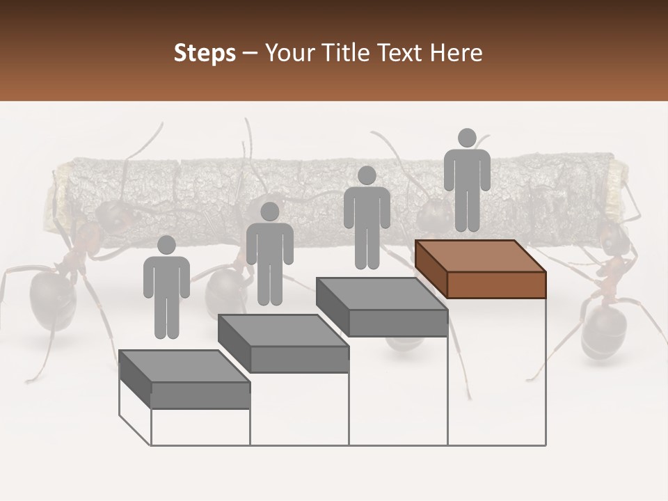 Animals Work Weight PowerPoint Template