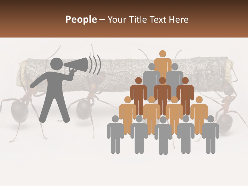 Animals Work Weight PowerPoint Template