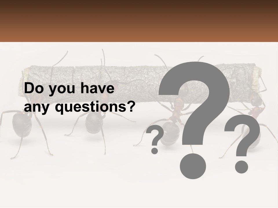 Animals Work Weight PowerPoint Template