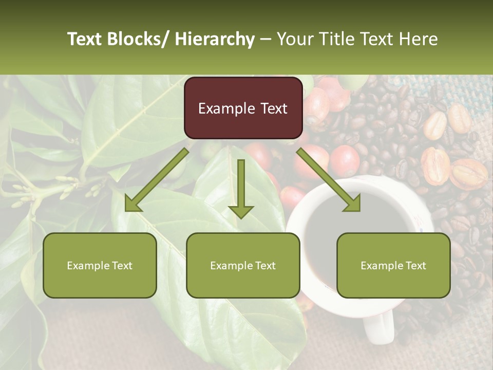 Calm Senior Wave PowerPoint Template