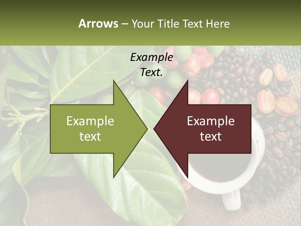 Calm Senior Wave PowerPoint Template