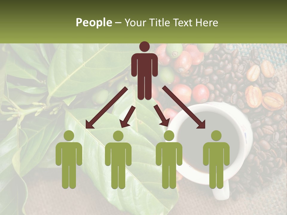 Calm Senior Wave PowerPoint Template