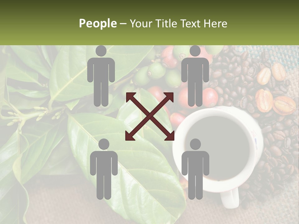 Calm Senior Wave PowerPoint Template