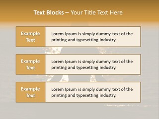 Single Senior Portrait PowerPoint Template