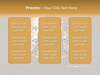 Single Senior Portrait PowerPoint Template