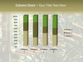 Coastal Old Calm PowerPoint Template