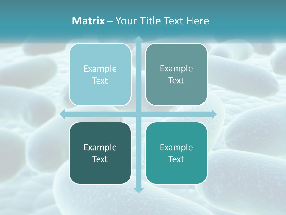 Life Sunrise Mother PowerPoint Template