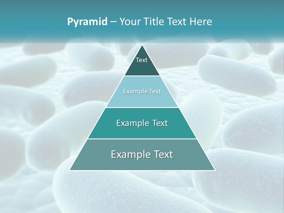 Life Sunrise Mother PowerPoint Template