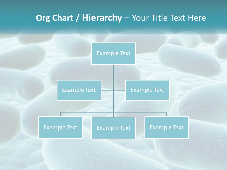 Life Sunrise Mother PowerPoint Template
