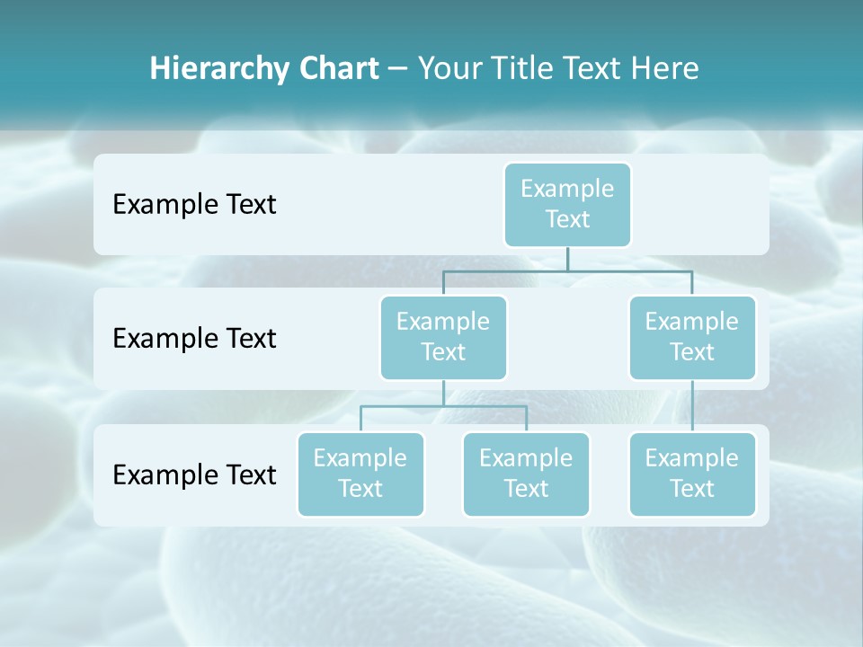 Life Sunrise Mother PowerPoint Template