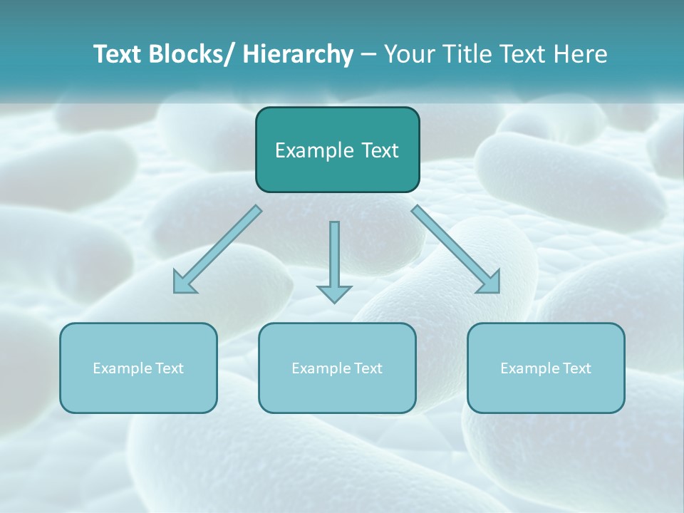 Life Sunrise Mother PowerPoint Template