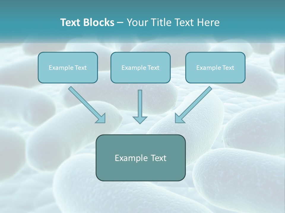 Life Sunrise Mother PowerPoint Template