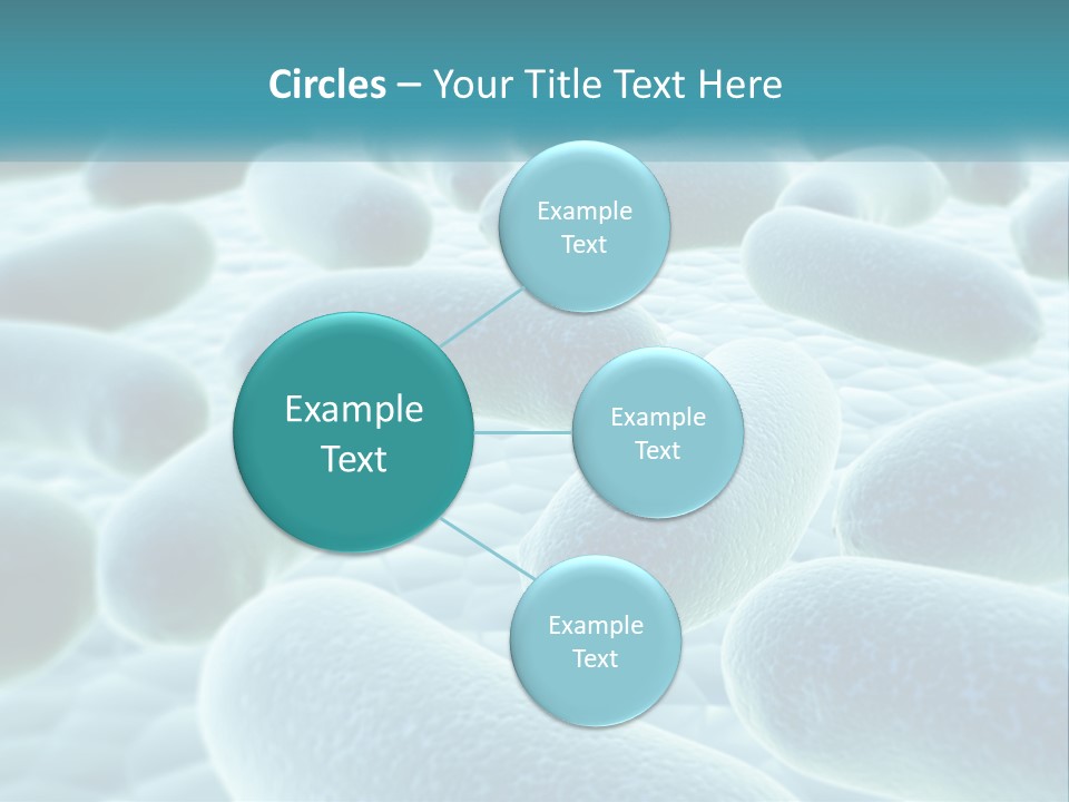 Life Sunrise Mother PowerPoint Template