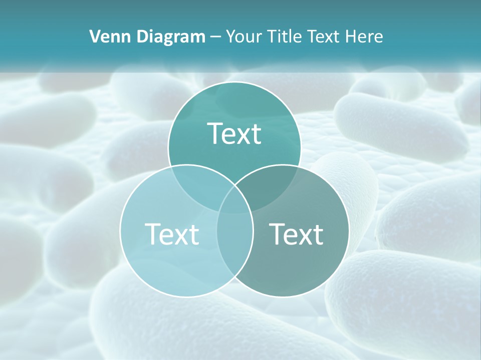 Life Sunrise Mother PowerPoint Template
