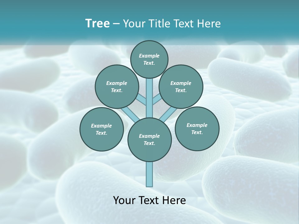 Life Sunrise Mother PowerPoint Template