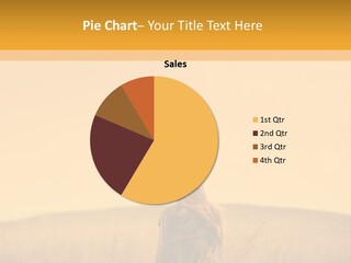 Retirement Sunset Mother PowerPoint Template