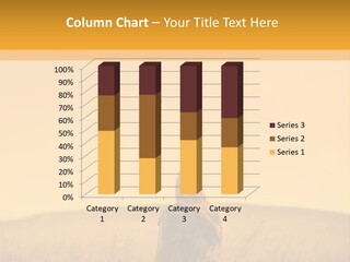 Retirement Sunset Mother PowerPoint Template